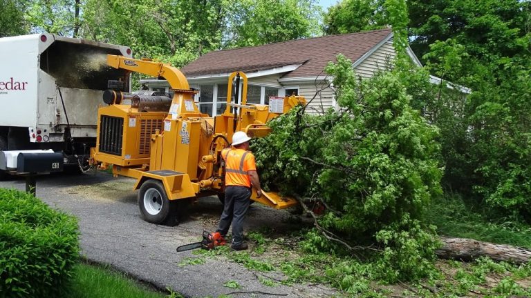Using The Right Tools For Tree Service