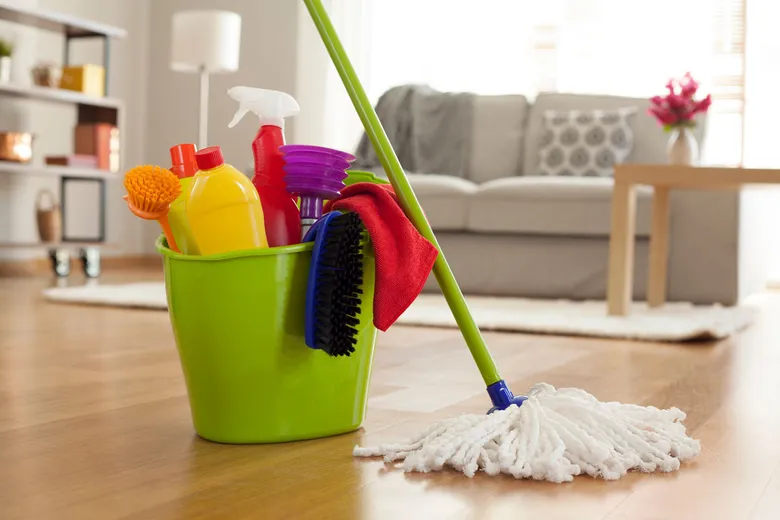 Pet Owners’ Guide to Keeping a Fur-Free Home With Professional Help